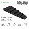 Fuyuang 54.6V 2A Industrial Battery Charger for Robot, AGV, Wheelchair, Scooter and Marine