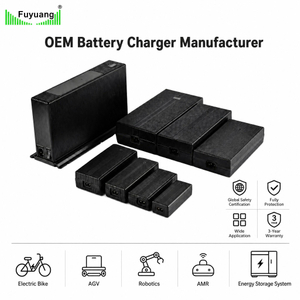 Fuyuang 29.4V 3A 88.2W Smart Battery Charger and Industrial Power Supply for Robotics, E-bike and Marine