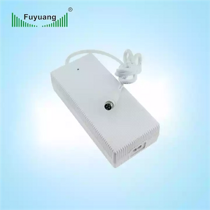 Fuyuang 24V 2A-30A Class 2 Lithium Battery Charger and 24V Power Supply 60W-800W for Electric Scooters