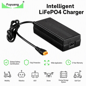 Fuyuang 14.6V 3A Battery Charger 43.8W for Robotics Drone AGV Golf Cart, LiFePO4 Lithium Lead-acid Charger 24W-3000W