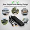 Fuyuang FY2400000 Dual Output 24V 5A 12V 5A Smart Battery Charger for Lead-Acid AGM GEL MF and LiFePO4 Lithium Packs, Marine RV Industrial